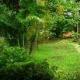 Kamath Residency best vacation, holiday cottages, hotel, resorts.JPG
